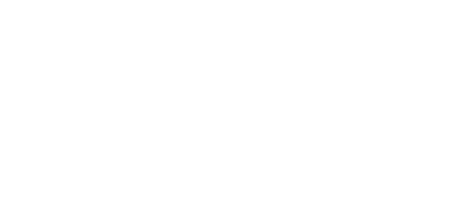 Ligga Telecom